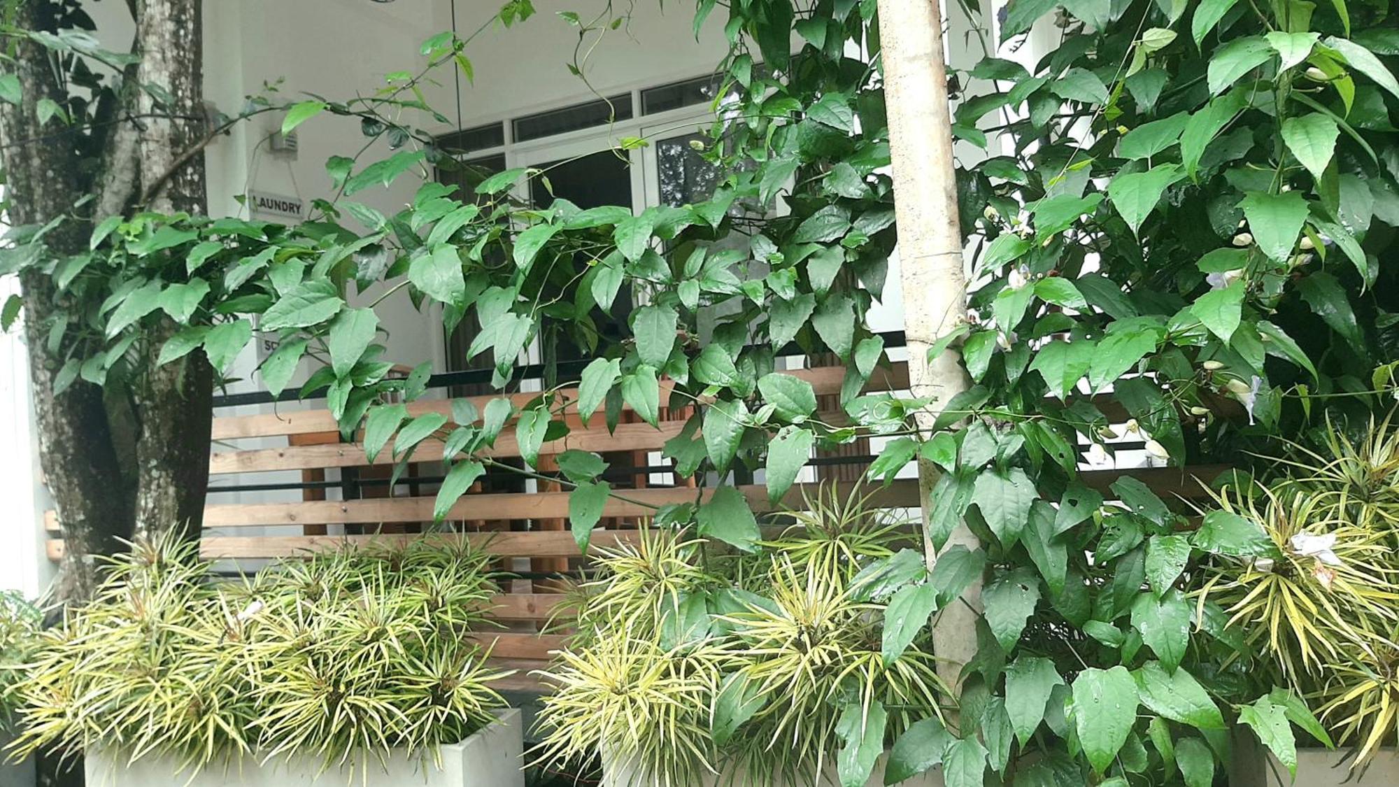 Dhanudi Homestay Элла Экстерьер фото